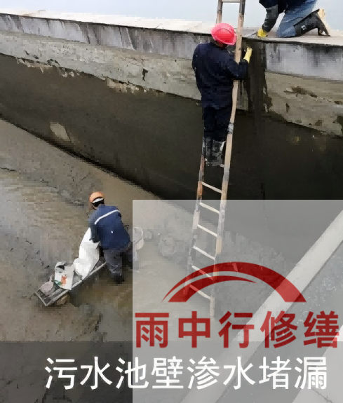 鄂州2026年防水龙头半月两次涨价，行业格局重塑信号